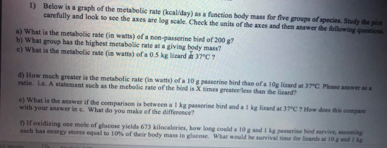 1) Below is a graph of the metabolic rate (kcal/day) as a function body mass for five groups of species. Study the plot caref