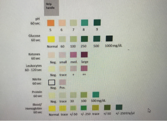 Strip handle pH 60 sec Glucose 60 sec Normal 60 100 250 500 1000mg/dL Ketones 60 sec Neg. small med. large Leukocytes 60-120