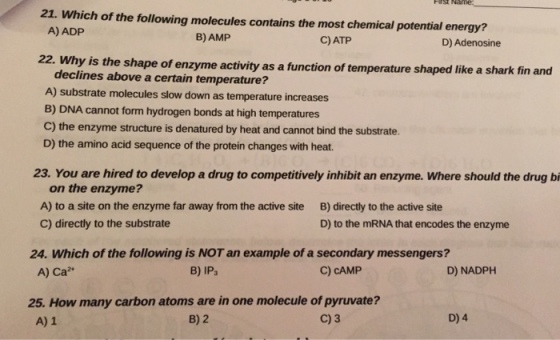 Which of the following molecules contains the most