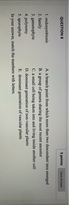QUESTION 8 5 points Save Answer 1. endosymbiosis A. a branch point from which more than two descendant taxa emerged 2. family