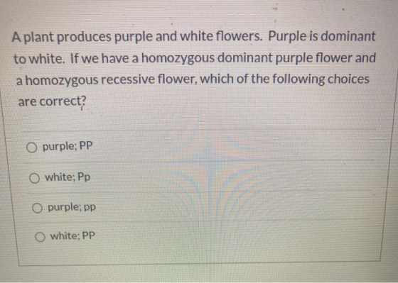 A plant produces purple and white flowers. Purple is dominant to white. If we have a homozygous dominant purple flower and a