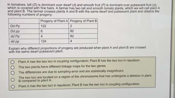 In tomatoes, tall (D) is dominant over dwarf (d) and smooth fruit (P) is dominant over pubescent fruit (p), which is covered