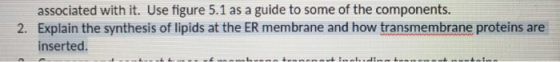 associated with it. Use figure 5.1 as a guide to some of the components. 2. Explain the synthesis of lipids at the ER membran