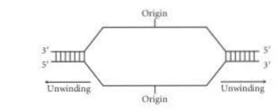 Origin Unwinding Unwinding Origin