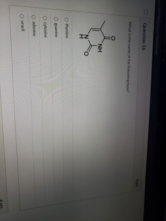 Ees/1383798/quizzes/1284063/take Question 16 4 pts What is the name of the following base? NH Othymine guanine O cytosine O a