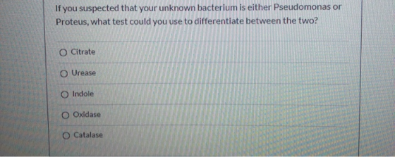 If you suspected that your unknown bacterium is either Pseudomonas or Proteus, what test could you use to differentiate betwe