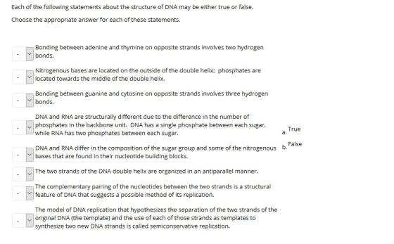 Each of the following statements about the structure of DNA may be either true or false. Choose the appropriate answer for ea
