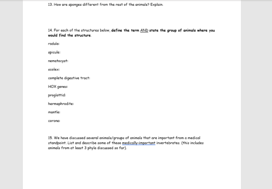 13 How Are Sponges Different From The Rest Of The Animals Explain 14 