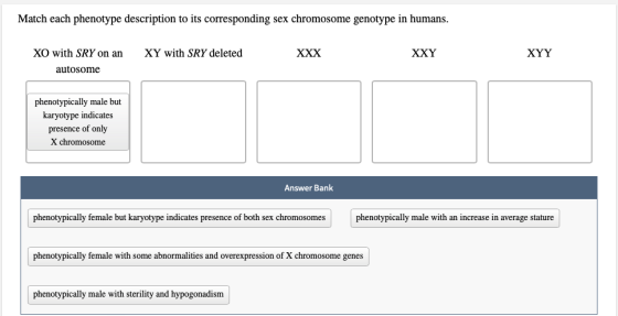 Match each phenotype description to its corresponding sex chromosome genotype in humans. XY with SRY deleted XXX XXY XYY XO w