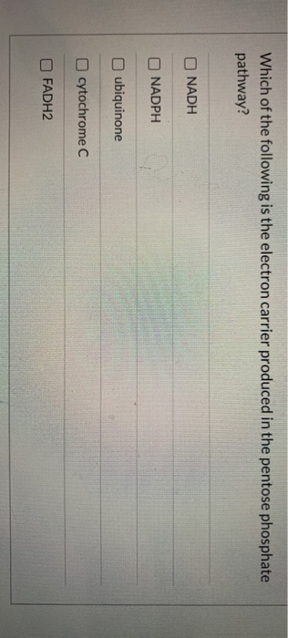 Which of the following is the electron carrier produced in the pentose phosphate pathway? NADH NADPH ubiquinone cytochrome C