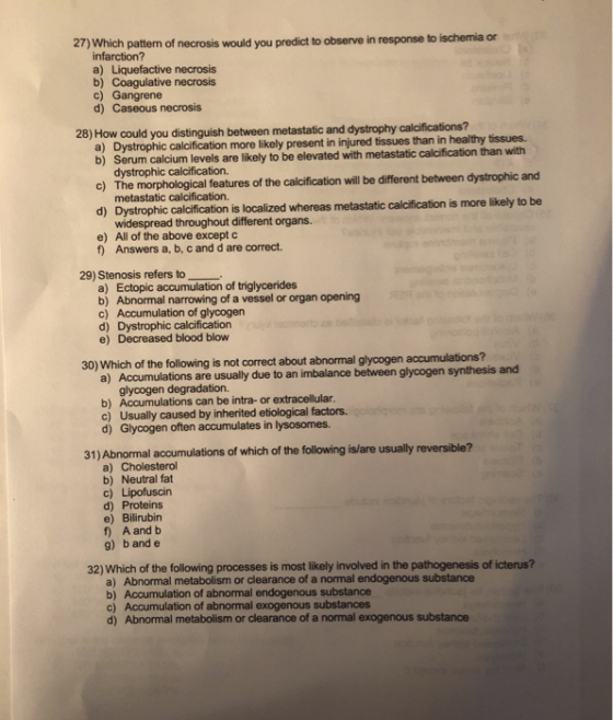 27) Which pattern of necrosis would you predict to observe in response to ischemia or infarction? a) Liquefactive necrosis b)