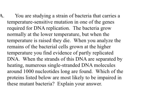 A. You are studying a strain of bacteria that carries a temperature-sensitive mutation in one of the genes required for DNA r