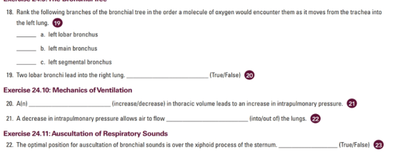 LRCIUJET.IIICIOUILLE 18. Rank the following branches of the bronchial tree in the order a molecule of oxygen would encounter