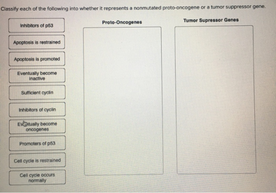 Classify each of the following into whether it represents a nonmutated proto-oncogene or a tumor suppressor gene. Proto-Oncog