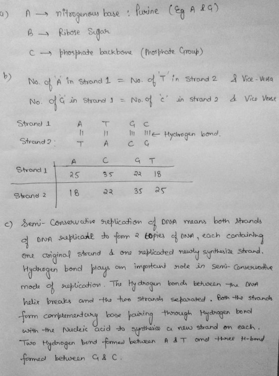 4) A B c nitrogenous base: Purine (&g A 89) Ribose Sugar phosphate backbone (Phosphate Group) No. of À in Strand 1 No. of a i