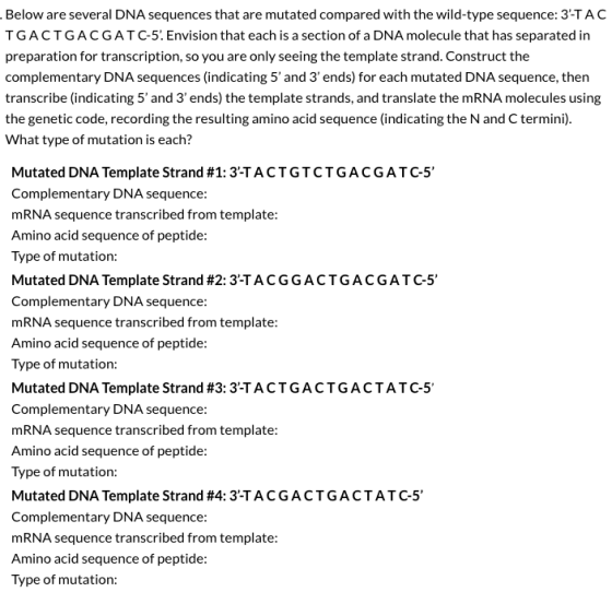 Below are several DNA sequences that are mutated compared with the wild-type sequence: 3-TAC TGACTGACGAT C-5. Envision that e