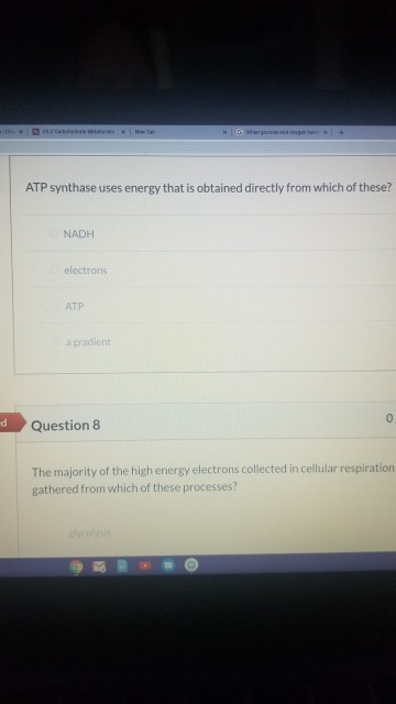 + ATP synthase uses energy that is obtained directly from which of these? NADH elections ATP agradient ed 0 Question 8 The ma