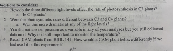 Juestions to consider: 1. How do the three different light levels affect the rate of photosynthesis in C3 plants? a. In C4 pl