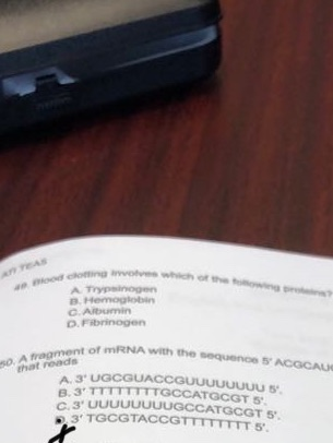 od com news A Trypanogen B. Hemoglobin Albumin D. Fibrinogen of RNA with the sequence SACGCAU 50 O. Armament or rounds UGCGU