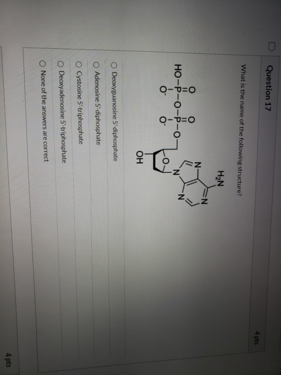 Question 17 4 pts What is the name of the following structure? H2N N N HO-P-0- O-D=0 O-D=0 OH O Deoxyguanosine 5-diphosphate