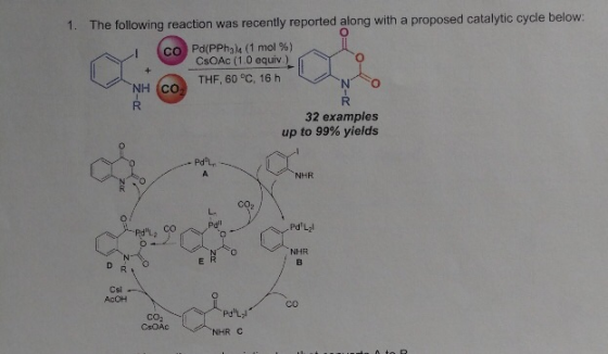 1. The following reaction was recently reported along with a proposed catalytic cycle below: CO Pd(PPhal. (1 mol %) CsOAC (1.