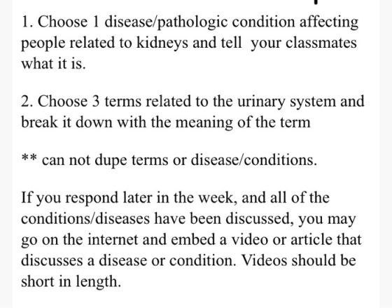 1. Choose 1 disease/pathologic condition affecting people related to kidneys and tell your classmates what it is. 2. Choose 3