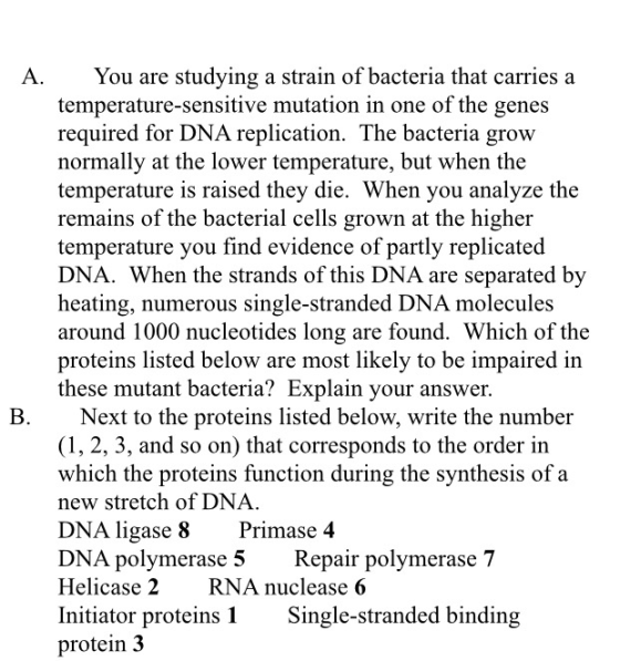 A. You are studying a strain of bacteria that carries a temperature-sensitive mutation in one of the genes required for DNA r