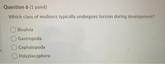 Question 6 (1 point) Which class of molluscs typically undergoes torsion during development? Bivalvia Gastropoda Cephalopoda