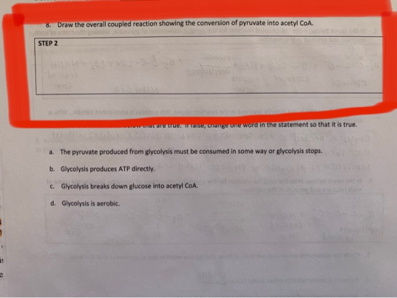 8. Draw the overall coupled reaction showing the conversion of pyruvate into acetyl CoA. dono STEP 2 nach do not ww what are
