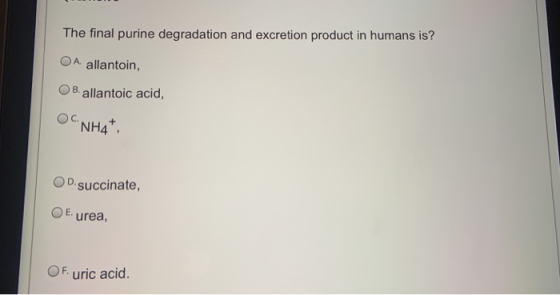 The final purine degradation and excretion product in humans is? O A allantoin, В. allantoic acid, ONH4+, D.succinate, O Eure