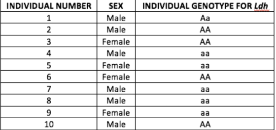 INDIVIDUAL NUMBER INDIVIDUAL GENOTYPE FOR Ldh Аа AA 3 АА aa 5 aa Male Male Female Male Female Female Male Male Female Male AA