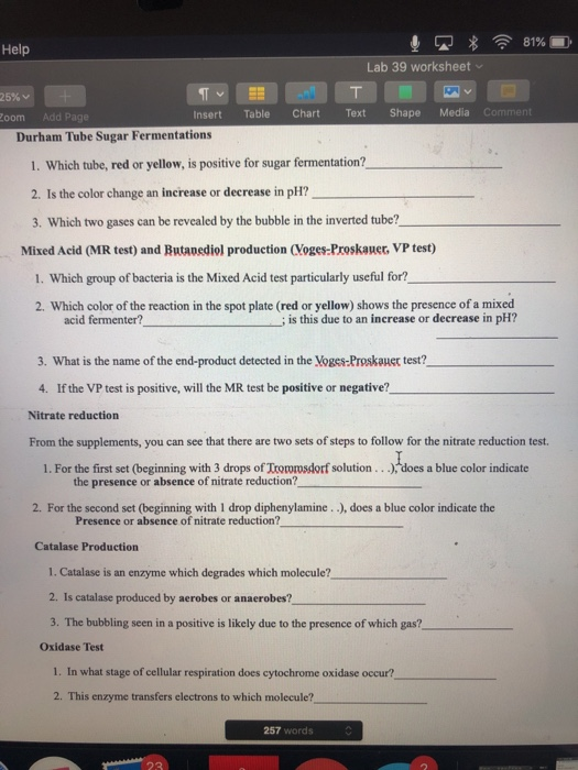 81% Help % Lab 39 worksheet 25% + Room Add Page Insert Durham Tube Sugar Fermentations Table Chart Text Shape Media Comment 1