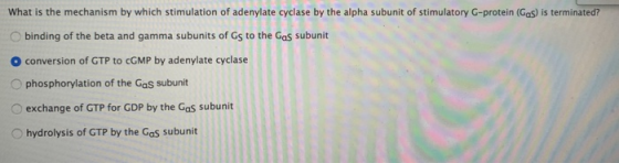 What is the mechanism by which stimulation of adenylate cyclase by the alpha subunit of stimulatory G-protein (Gas) is termin