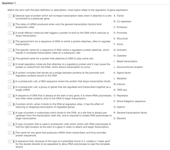Question 1 Match the term with the best definition or description; most topics relate to the regulation of gene expression. General type of protein which will increase transcription rates when it attaches to a site A. Factor connected to a particular gene - B. Co-repressor C. Enhancer D. Promoter E. Structural F. Intron G. Activator H. Operator I. Basal transcription J. Glucocorticoid receptor K. Sigma factor L. Mediator M. Inducer N. TATA box O. Repressor The rates of mRNA produced when only the general transcription factors bind (eukaryotic cells) - # A small effector molecule that triggers a protein to bind to the DNA which reduces or stops transcription The general term for a sequence of DNA to which a protein attaches, often to regulate transcription - . # The specific name for a sequence of DNA where a regulatory protein attaches, which results in increased transcription rates (in a eukaryotic cell) *The general name for a protein that attaches to DNA to play some role | - A small regulatory molecule that attaches to a regulatory protein and it may cause the protein to unbind from the DNA, which allows transcription to occur. A protein complex that serves as a bridge between proteins at the promoter and regulatory proteins bound to the DNA # In a prokaryotic cell, a DNA sequence where the protein that stops transcription binds - In a prokaryotic cell, a group of genes that are regulated and transcribed together as a . # A sequence of DNA that is always at the start of any gene; it is where RNA polymerase, - # A protein which, when it binds to the DNA at regulatory sites, it has the effect of . # A type of protein in eukaryotes which binds to the DNA, at a site that is always just single mRNA and often other proteins, bind to the DNA to begin transcription reducing or stopping transcription of regulated genes. Shine-Dalgarno sequence Q. Operon R. General transcription factor S. Element upstream from the transcription start site, and is required to enable RNA polymerase to begin transcription. . # A type of protein that is used in prokaryotic cells which works with RNA polymerase to find the right location at the start of a gene in order to attach and begin transcription. The name for any gene that produces mRNA when transcribed, and thus encodes protein sequences # A sequence that, because of the type of nucleotides found in it, creates a weak spot - for the double strands to be separated to allow RNA polymerase to read the template strand.