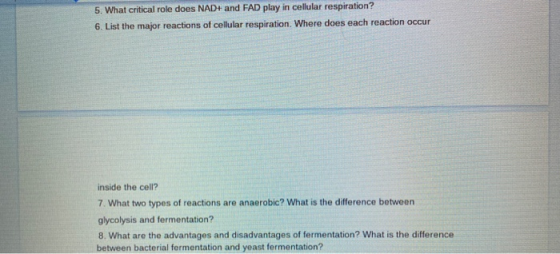 5. What critical role does NAD+ and FAD play in cellular respiration? 6. List the major reactions of cellular respiration. Wh