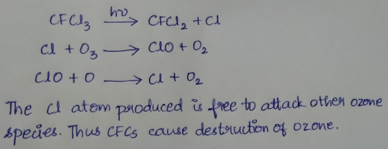 CFCIS CFCI2+Cl Clo+ 02 The cl atem poduced is free to attack othen ozone pedes. Thus CFCS cause destouction of 0zone.