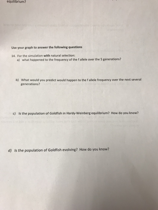 equilibrium? Use your graph to answer the following questions 14. For the simulation with natural selection: a) what happened