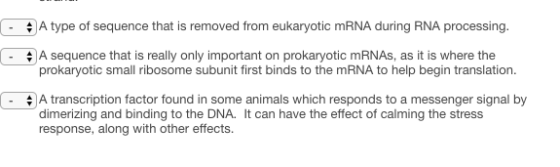 A type of sequence that is removed from eukaryotic mRNA during RNA processing A sequence that is really only important on prokaryotic small ribosome subunit first binds to the mRNA to help begin translation. prokaryotic mRNAs, as it is where the A transcription factor found in some animals which responds to a messenger signal by dimerizing and binding to the DNA. It can have the effect of calming the stress response, along with other effects.