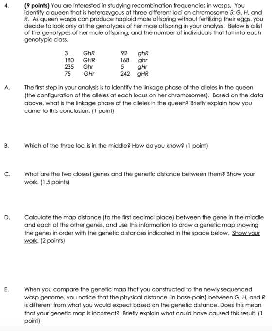(9 points) You are interested in studying recombination frequencies in wasps. You identify a queen that is heterozygous at th