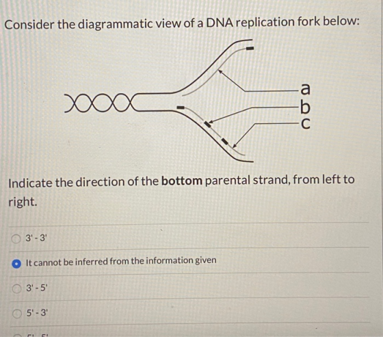 Consider the diagrammatic view of a DNA replication fork below: 000 Indicate the direction of the bottom parental strand, fro