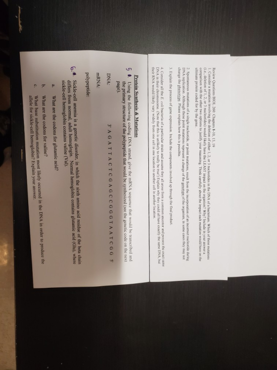 Review Questions BIOL 260: Chapters 8-10, 13, 19 1. Consider a mutation involving the deletion of either 1, 2, or 3 nucleotid