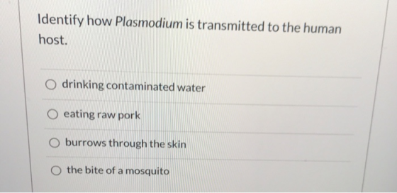 Identify how Plasmodium is transmitted to the human host. O drinking contaminated water O eating raw pork O burrows through t