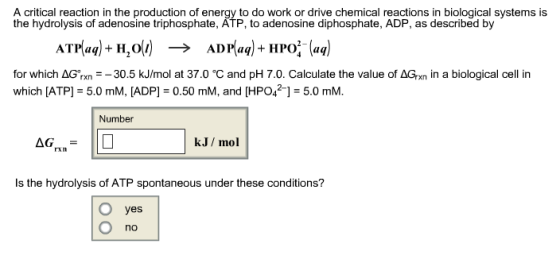 A critical reaction in the production of energy to do work or drive chemical reactions in biological systems is the hydrolysi