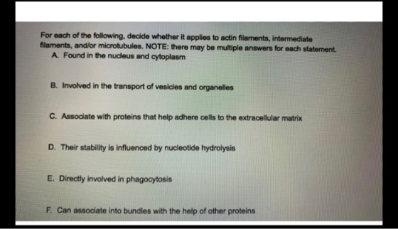 For each of the following, decide whether it applies to actin filaments, intermediate filaments, and/or microtubules. NOTE: t