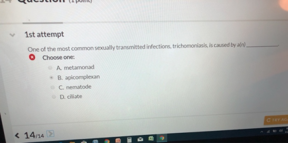 1st attempt One of the most common sexually transmitted infections, trichomoniasis, is caused by a(n) Choose one: A. metamona