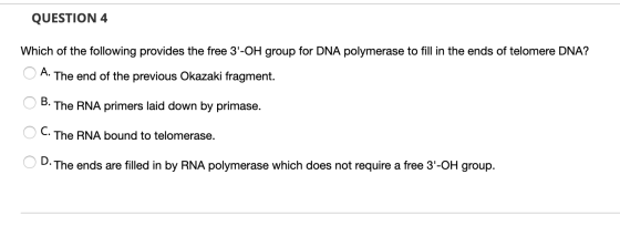 QUESTION 4 Which of the following provides the free 3-OH group for DNA polymerase to fill in the ends of telomere DNA? O A.
