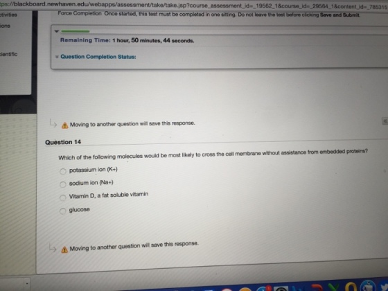 Which of the following molecules would be most lik