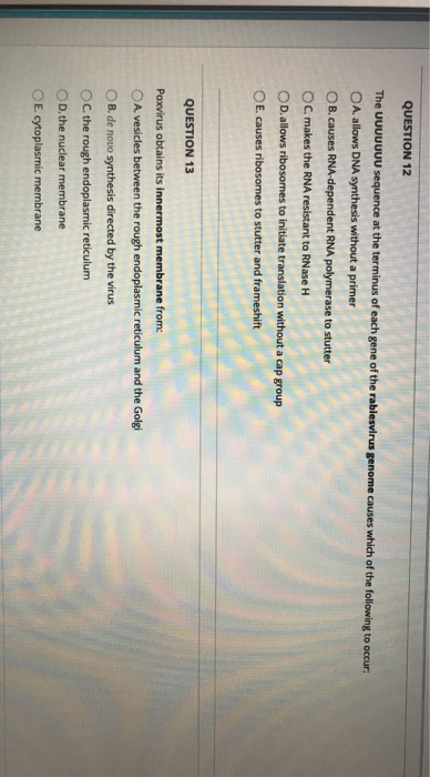 QUESTION 12 The UUUUUUU sequence at the terminus of each gene of the rabiesvirus genome causes which of the following to occu