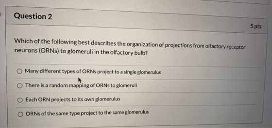 Question 2 5 pts Which of the following best describes the organization of projections from olfactory receptor neurons (ORNs)