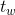 t_{w}